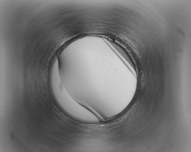 X0000116651449201001041041