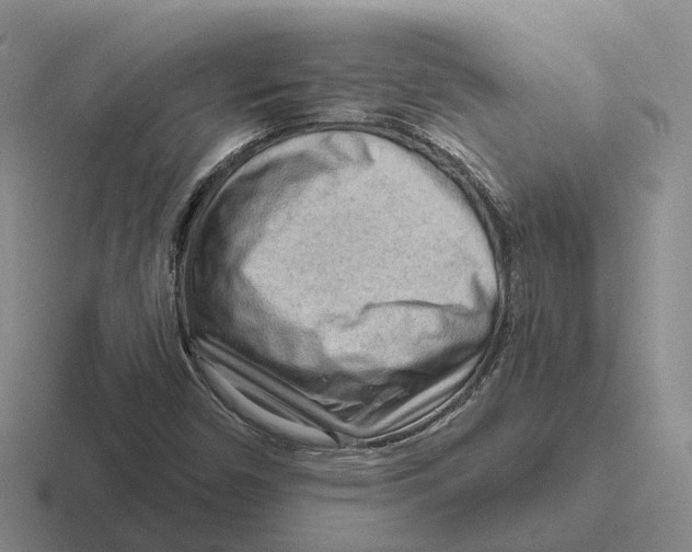 X0000116651450201001041041