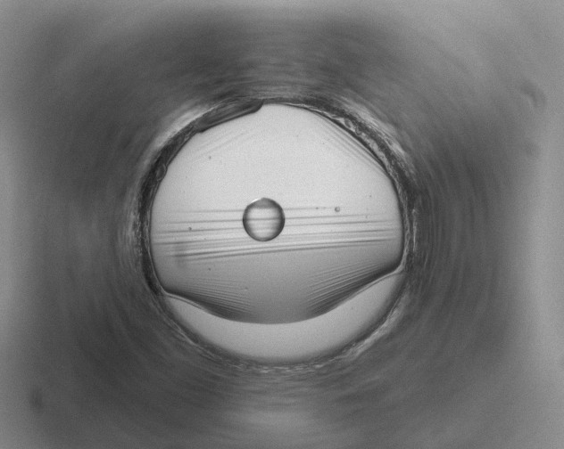 X0000116651453201001041041