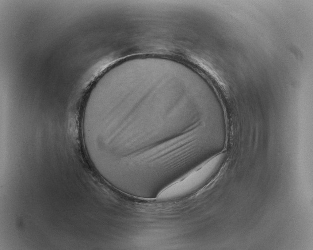 X0000116651455201001041041