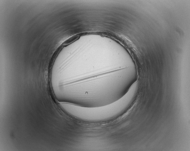 X0000116651457201001041041