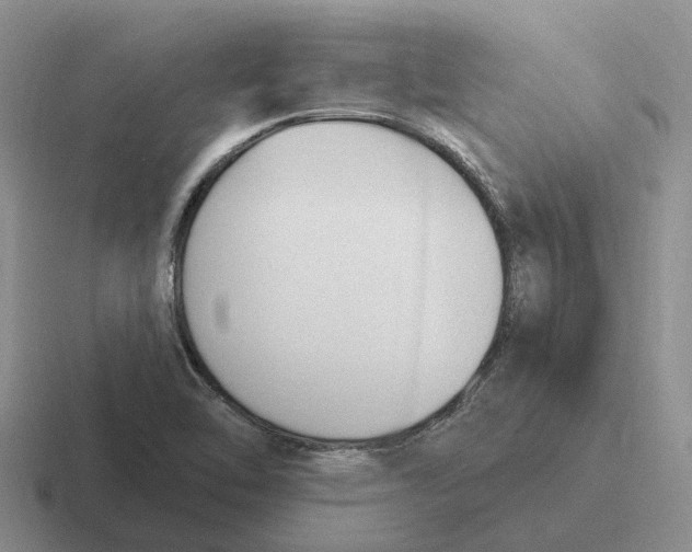 X0000116651462201001041041