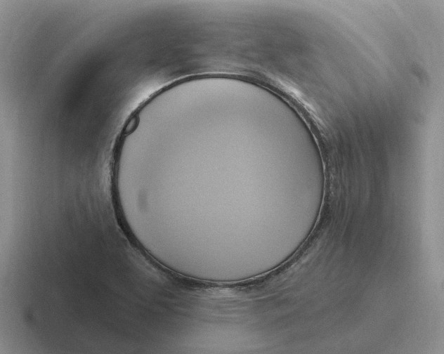 X0000116651463201001041041