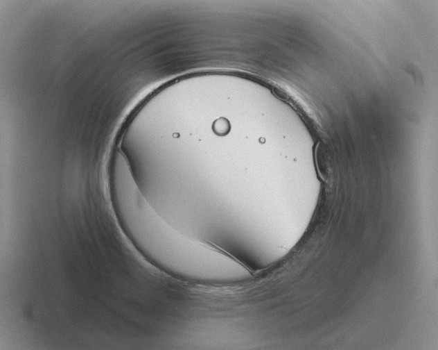 X0000116651468201001041041