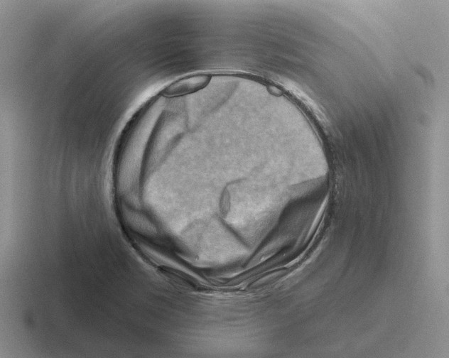 X0000116651469201001041041