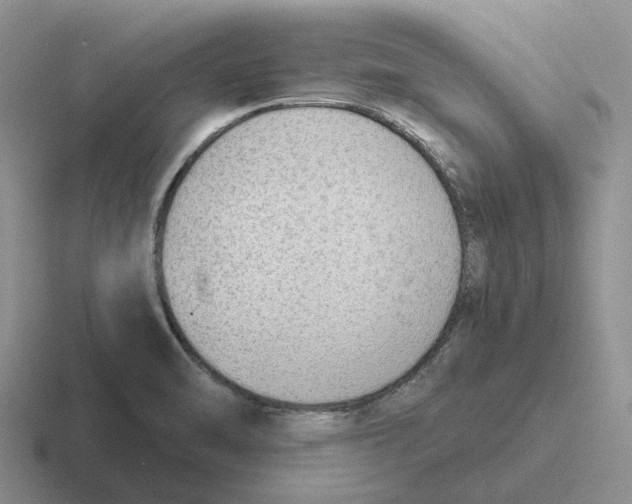 X0000116651470201001041041