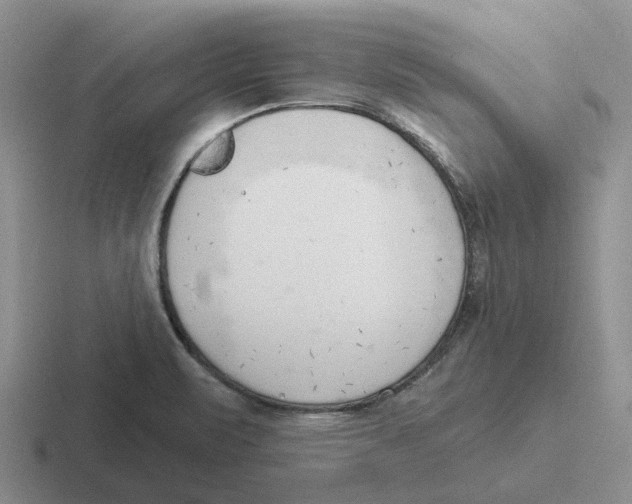 X0000116651471201001041041