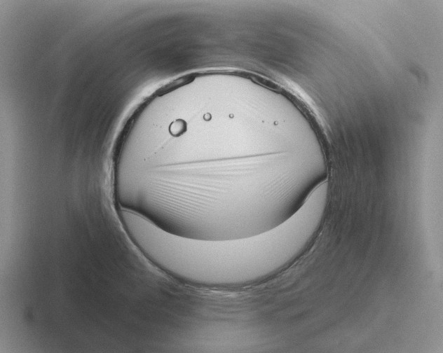 X0000116651472201001041041