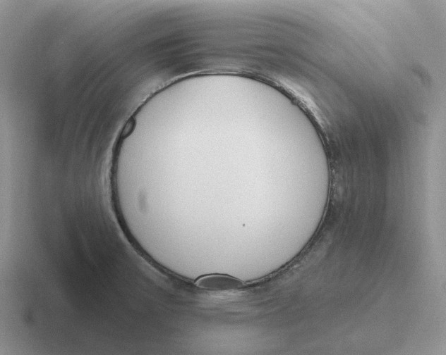 X0000116651475201001041041