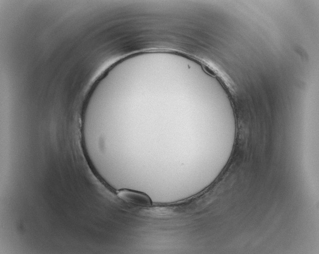 X0000116651476201001041041