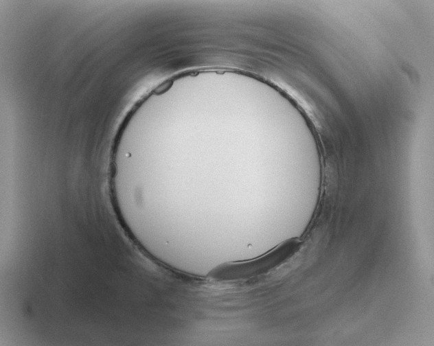 X0000116651477201001041041