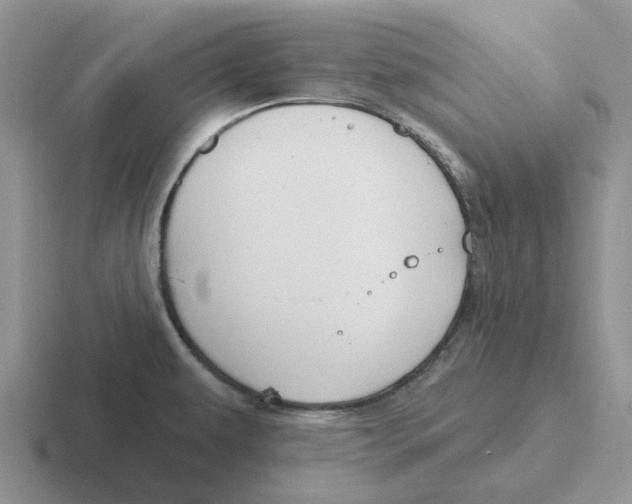 X0000116651479201001041041