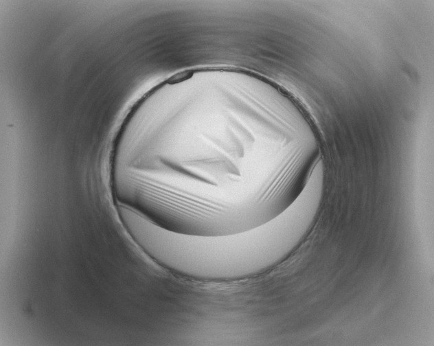 X0000116651480201001041041