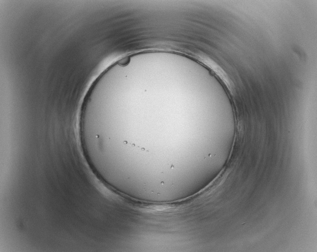 X0000116651482201001041040