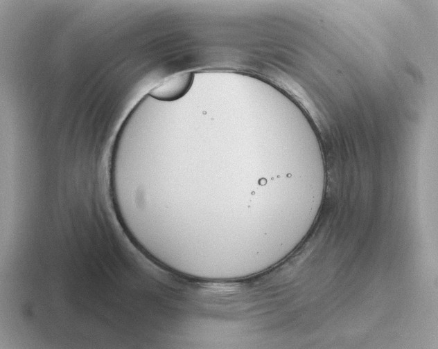 X0000116651483201001041040