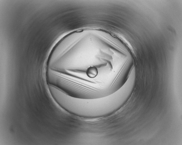 X0000116651484201001041040