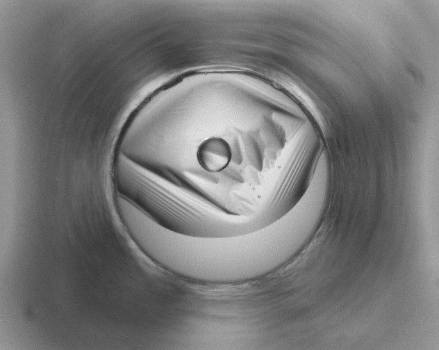 X0000116651485201001041040