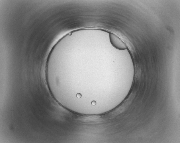 X0000116651486201001041040