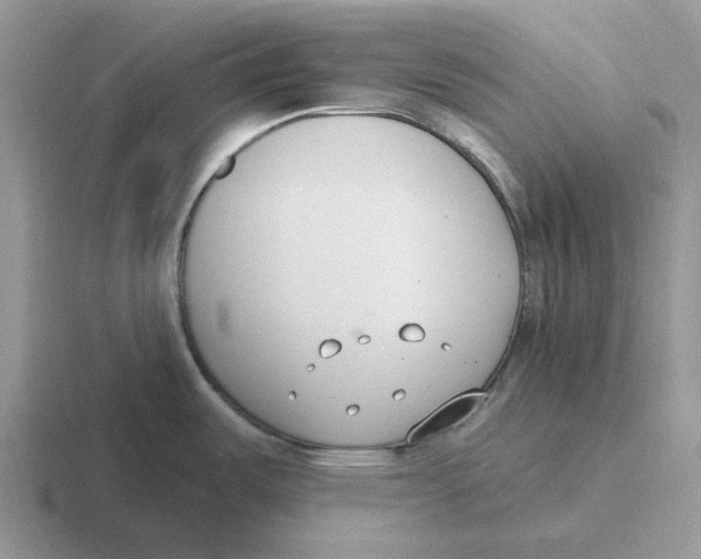 X0000116651487201001041040