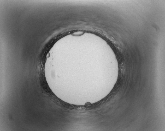 X0000116651495201001041040