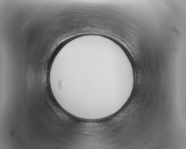 X0000116651499201001041040