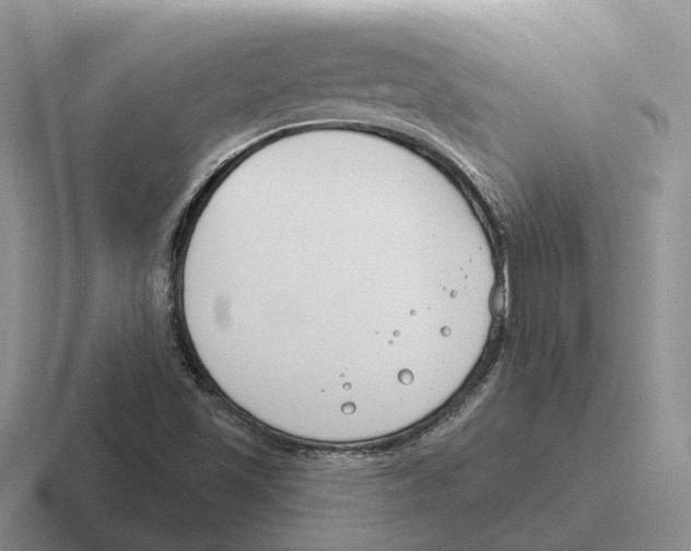 X0000116651501201001041040