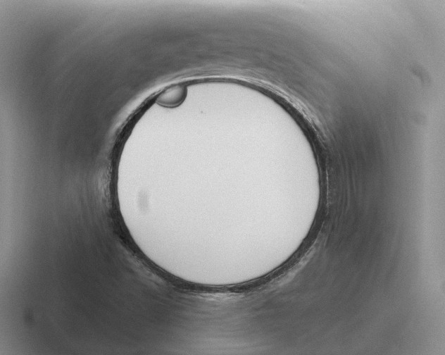 X0000116651502201001041040