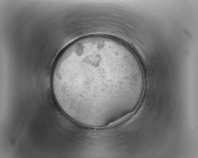 X0000116651505201001041040