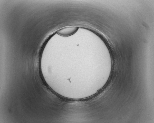 X0000116651506201001041040