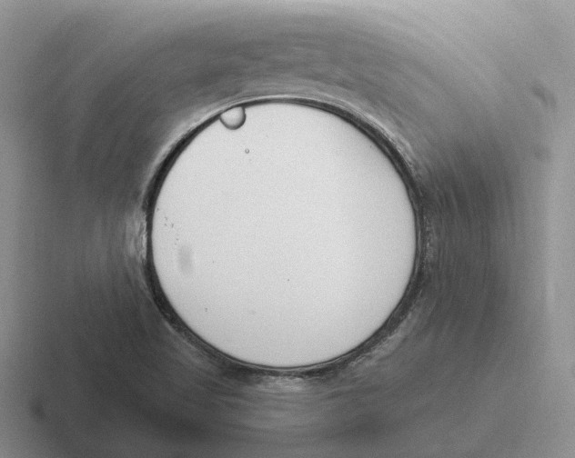 X0000116651509201001041040