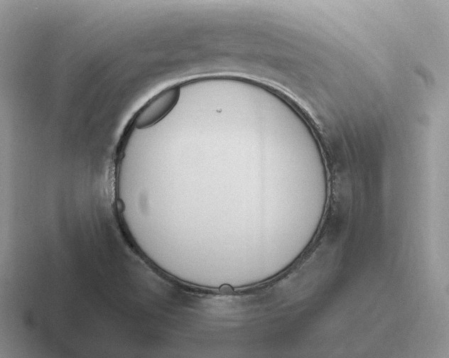 X0000116651510201001041040