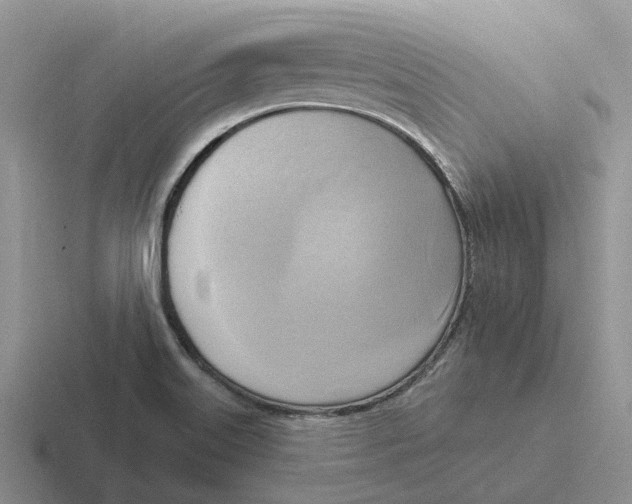 X0000116651515201001041040