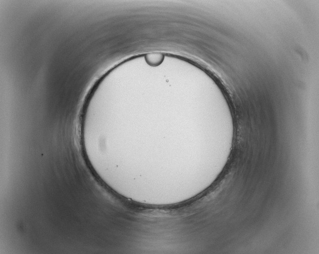 X0000116651517201001041040