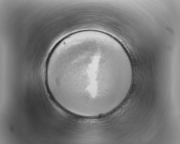 X0000116651519201001041040