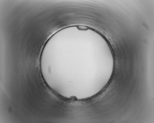 X0000116651521201001041040