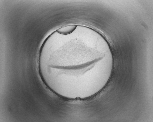 X0000116651522201001041040