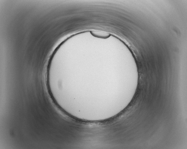 X0000116651523201001041040