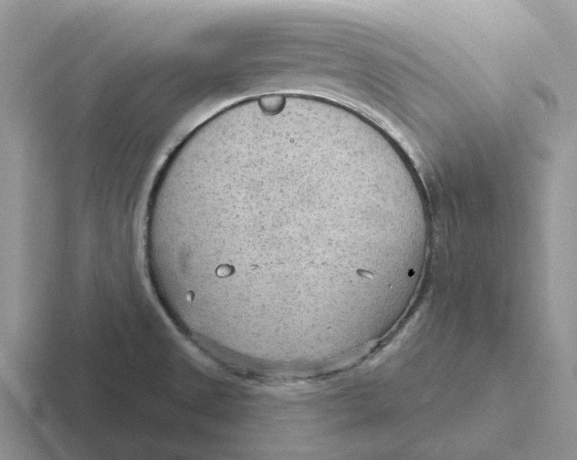 X0000116651525201001041040