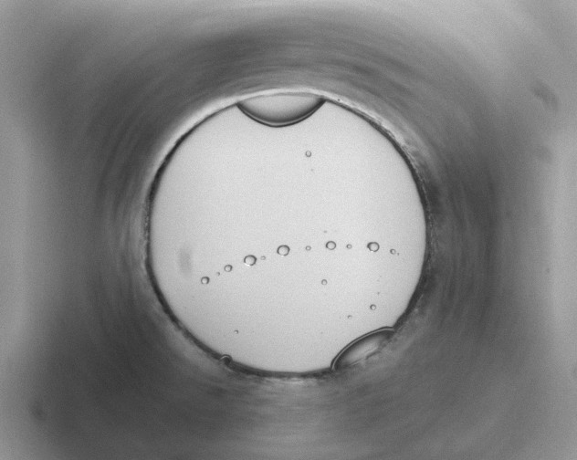 X0000116651526201001041040