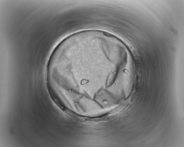 X0000116651527201001041040