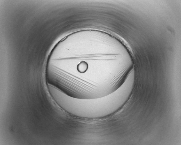 X0000116651530201001041040