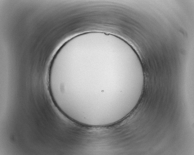 X0000116651531201001041040