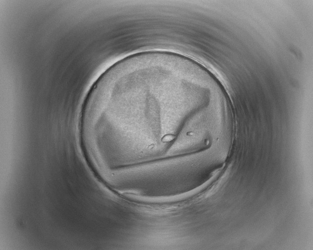 X0000116651533201001041040