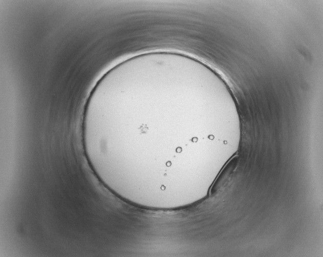 X0000116651534201001041040