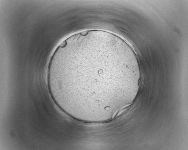 X0000116651535201001041040