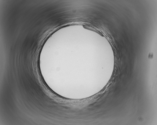 X0000116650001201001111239