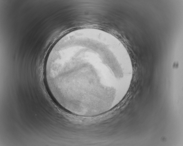 X0000116650002201001111239