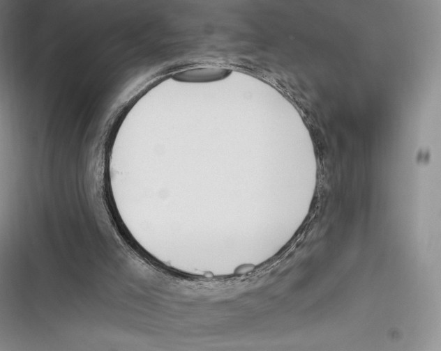 X0000116650005201001111239