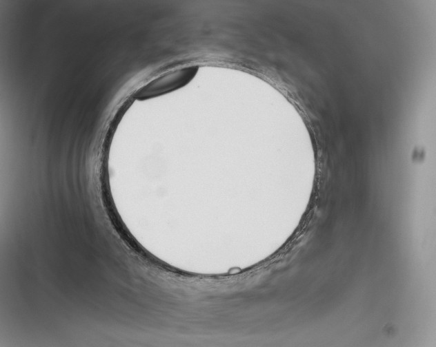X0000116650007201001111239