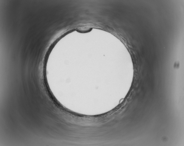 X0000116650008201001111239